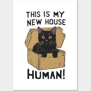 Cat in a box Posters and Art